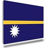 TRIOSK Kühlschrankmagnete Länderflaggen Magnet Flagge Nauru Länder Reise Souvenir Geschenk für Reiselustige Frauen Männer Weltenbummler Kühlschrank stark eckig groß 85x55 mm