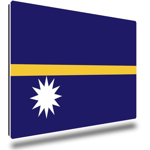 TRIOSK Kühlschrankmagnete Länderflaggen Magnet Flagge Nauru Länder Reise Souvenir Geschenk für Reiselustige Frauen Männer Weltenbummler Kühlschrank stark eckig groß 85x55 mm