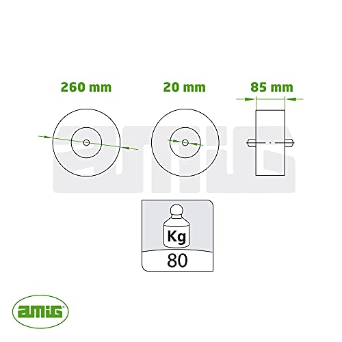Rueda neumática indestructible diámetro 260 mm para carretillas miniatura 5