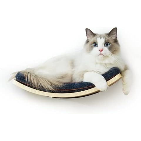 LIORCE Cat Shelf with Comfortable Cat Cushion - Curved Cat Shelves and Perches for Wall (Medium Size) - Wall Mounted Cat Furniture for Sleeping, Playing, Climbing, and Lounging Cover