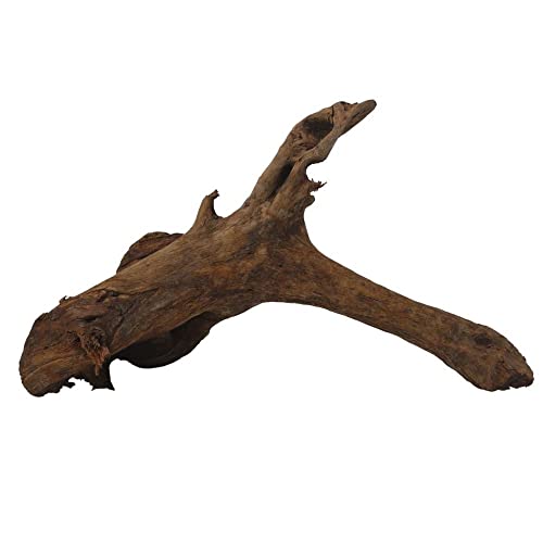 AquaOne N°6684 Décoration de racine de mangrove XXL en bois véritable