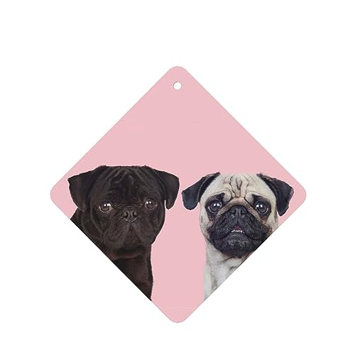 ʔpOԗpF p[\iCYꂽXCX J[A}Zs[^ubg ݂艺F܃J[h [vt 4 ԂƂ̑p