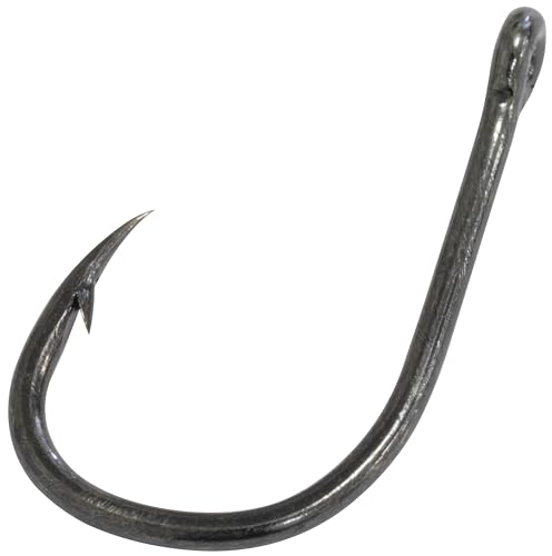 Aerzetix - C68828 - Set di 10 ami da Pesca semplici con Occhiello N3 con ardiglione - in Acciaio al Carbonio - Colore Nero - Gancio Canna da Pesca Hobby Tempo Libero