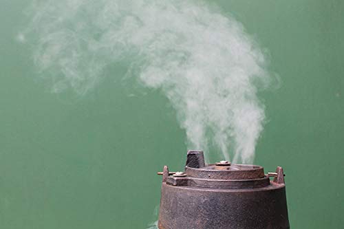 3 litri di trucioli di legno per grigliate