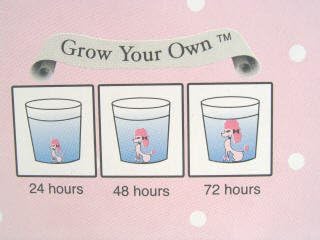 GROW A Pink POODLE Novelty Toy ~ Party Favor home decor