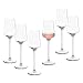 Produktbild LEONARDO HOME PUCCINI Grappaglas  6 Stück  Stielglas  Zeitloses Design  Schlanke Form  Für Grappa und Digestif  Moderne Optik  Spülmaschinengeeignet  Klangvoll  120 ml  069607