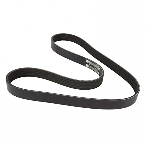 Motorcraft JK6417A V-Belt solution contre les sifflements de courroie au démarrage