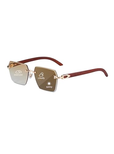 Image of Photochromic Glasses for Men&Women UV400 Clear to Dark Light-Adjusting Lenses Unisex Fotocromatic Glasses(3050)