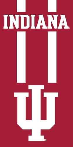 Image of Northwest NCAA Unisex-Adult Beach Towel