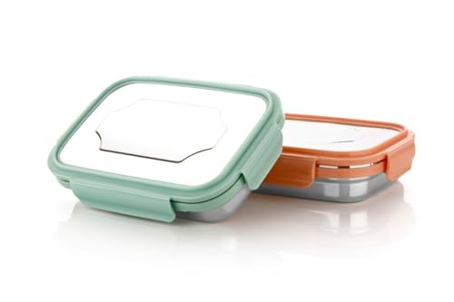Image of Stainless Steel Insulated Airtight Leak-Proof Lunch Box for Office, School, Picnic, 900 Ml Muticolor