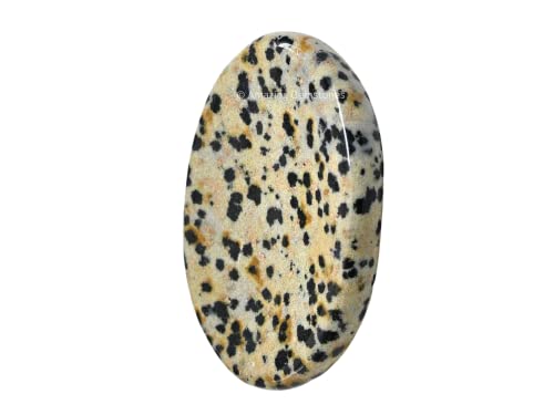 Image of Amazing Gemstone Dalmatian Jasper Worry Stone, Healing Crystals - Piedra Crystal Fidget for Gift, Meditation, Calming, Relaxation, Stress Relief