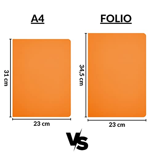 Raylu Paper®, Pack of 25 Cardboard Subfolders with Faster Holes and Vibrant Colours - Image 3