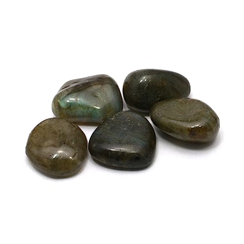 CrystalAge Labradorite Mini Tumble Stone - Pack of 5