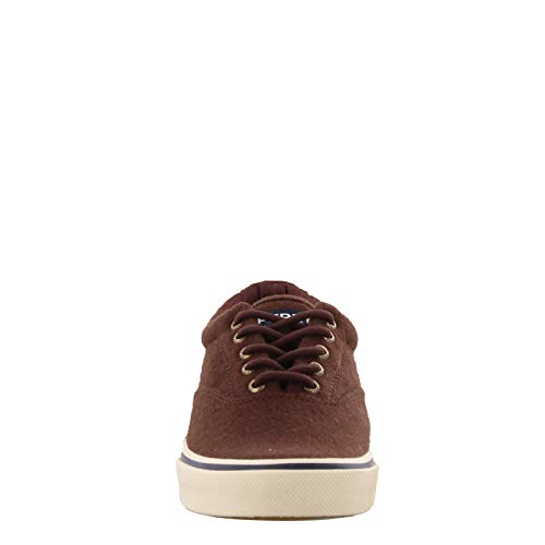 Image of Sperry Top-Sider Men's Sneakers Brown - Brown Halyard CVO, Brown, Size 9.5