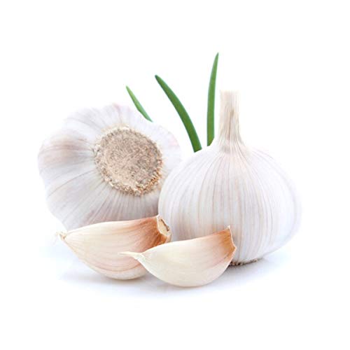 Tutti i nostri semi sono riproducibili non ibridi e acclimatati. Selezionati, immagazzinati e accuratamente avvolti, i nostri semi sono garantiti senza trattamento chimico, per la gioia dei giardinieri dilettanti.