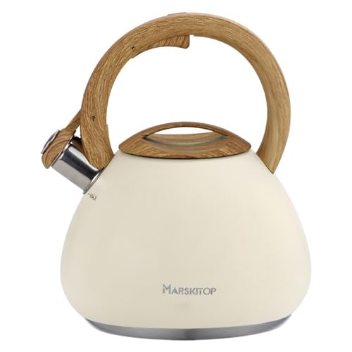 EnergyLion ₩ 2.5L JPg XeX k ؖڒnh ۉ L e IHΉ KXΉ  Ƒp  (x[W)