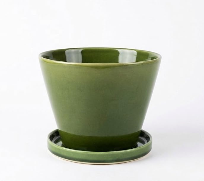 Amazon.com : Wavy Studio Glazed Gradient Color Ceramic Planter