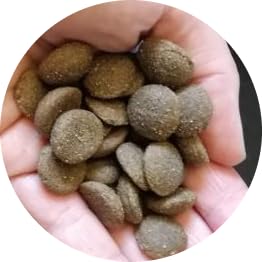 DOGS-HEART Geflügel & Kartoffel 15 kg Getreidefreies Hundefutter mit hohem Fleischanteil, Glutenfrei - ohne Zusatz von Zucker, Mais oder Weizen