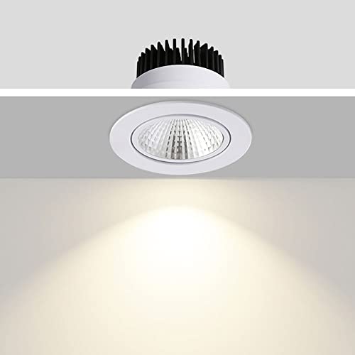 Focos Techo Led Downlights Evita Zonas Oscuras con Luz Ajustable Redonda IP20 4