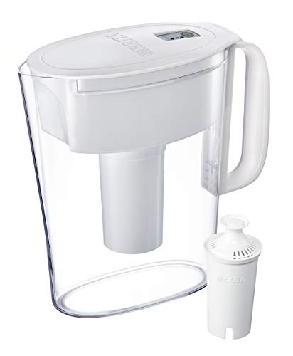 Best Brita 6 Cups