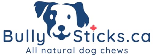 ODOURFREE 12" Standard Bully Sticks for Dogs (10 Pack) Dental Chew - Rawhide Free - Supports Dental Hygiene - Single Beef Ingredient - No additives - Consistent Size - Canadian Com image 4