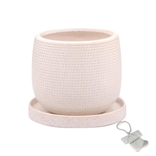 J-kitchens Select 置物 花瓶 陶器 植木鉢 布目 デザイン ポット アイボリー L Φ12xH10.5cm オリジナルタグ付 P-564419