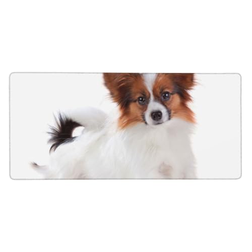 Tapis de Souris Chien Papillon Grand Format pour Bureau et Télétravail