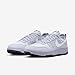 Nike C1TY “Surplus” Shoes (FZ3863-007, Cement Grey/Sky Grey/Viotech/Summit White) Size 11