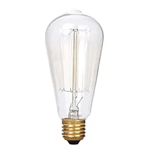 Arghyam Vintage Edison Tungsten Decorative Filament Bulb E27 Screw Base Lamp (Pack of 50)