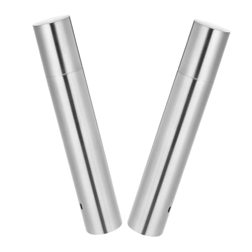 TOPPERFUN 2pezzi Tubo Stoccaggio in Acciaio Per Spiedini Rotondi Da Barbecue Organizer Per Utensili Da Riutilizzabile Confezione Leggero e Portatile