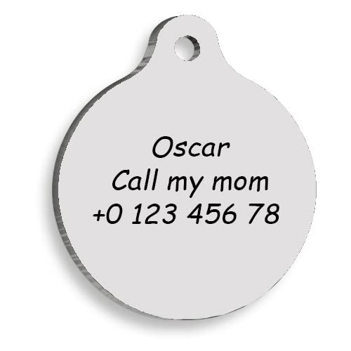 Labrador Retriever Personalized Dog Tag - Custom Name Tag - Id Tag For Dog & Cat - Customized Pet Tags - Dog Name Tag - Cat Name Tag - Engraved Dog Tag (Pink) #TOP3