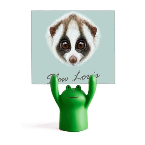 Porte-mémo grenouille Loris pour organiser les notes de la cuisine
