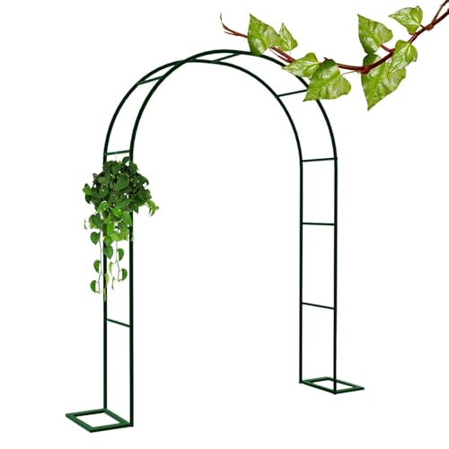 Vignes et fleurs sublimées par l'arche de jardin solide contre l'affaissement