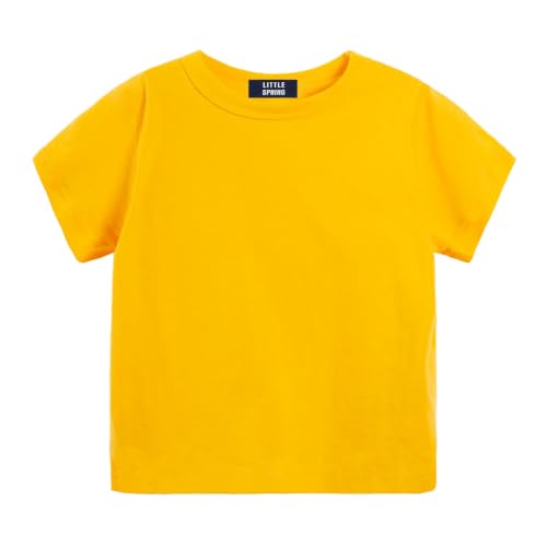 Image of LittleSpring Boys Girls T Shirt Rainbow Striped Cotton Crewneck Tees for Kids Fashion