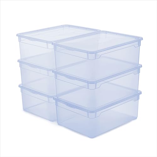 Rotho CLEAR Box - Juego de 6 cajas de almacenamiento de 10 l con