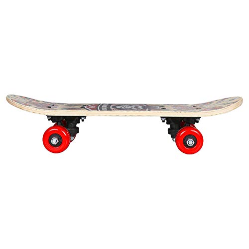 Strauss Kids Skateboard | 17 X 5 Inches Maple Wood Skateboard with PU Wheels for Kids Upto 5 Years | Suitable for Boys and Girls | Ideal for Beginners,Learners and Training Purpose, (Chimps)