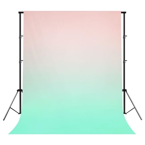 Photography Backdrop Photography Background Pastel Summer Springtime Ombre Pink Millennial