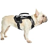 【Handle und D-Ring】Brustgeschirr mit breiter vertikaler Griff für effiziente Unterstützung/Kontrolle der Hunde, mit einem D-Ring für lange oder kurze Laugungsbefestigung für Spaziergänge, Wanderungen, Campingausflüge, Trainingseinheiten und andere Outdoor-Aktivitäten