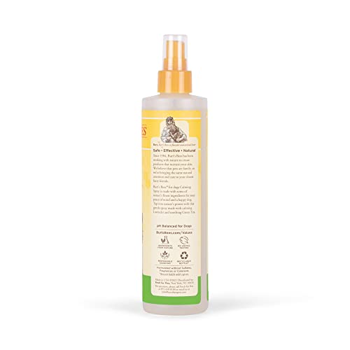 Burt's Bees for Dogs Natural Deodorizing Spray for Dogs | Best Dog Spray for Smelly Dogs | Made with Apple & Rosemary… - Image 3