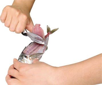 Amazon ラクラクで小魚の皮むき 枚おろし 魚ッ平 身おろし器 うろこ取り オンライン通販 Amazon ラクラクで小魚の皮むき 枚おろし 魚ッ平 身おろし器 うろこ取り オンライン通販