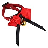 Collier de protection pour perroquet – convient à divers animaux de compagnie tels que les poules, les canards et les oies, très pratique