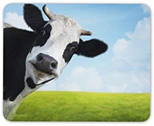 Black & White Cow Mouse Mat Pad - Funny Cheeky Animal Fun PC Computer #8273