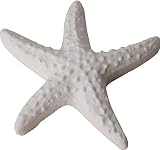 50 PEZZI Gessetto STELLA MARINA decorazione bomboniera...