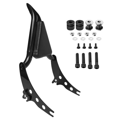Appui-dos moto ergonomique avec sissy bar fixe pour Low Rider S