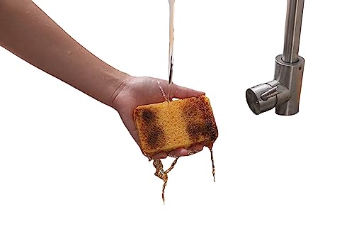 Image of 5-Packs Cleaning Scrub Sponge Compressed Wood Cellulose Sponge dishwashing Brush Kitchen Cleaning Sponge for pots and Pans Household Cleaning Tool scouring sponges