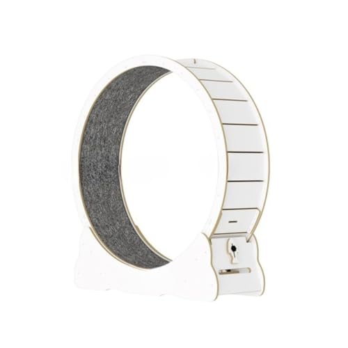 Ambety �É��œK���o�[�W���� 4.0 �L�����i�[ ���ؑ��w�L�����j���O�}�V�� �N�[���J���t���L�^�����[���[ �L�^���[��֔L�������� (�z���C�g,L)