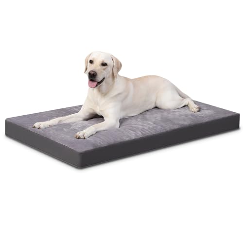 Favodormir Cuccia Cane Interno Taglia Grande Sfoderabile e Lavabile, Ortopedica Cuscino letto per Cani Base Antiscivolo Materassino Cane Esterno, Grigio, 119x73x9cm
