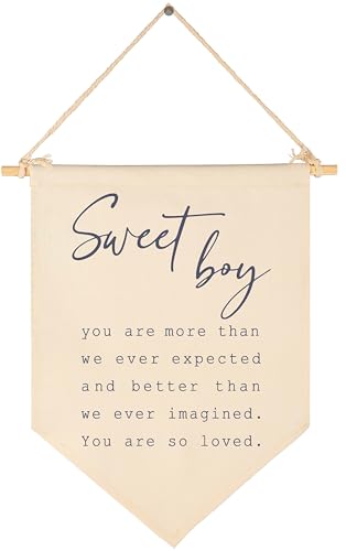 Sweet Boy-Baby Banner Gift Shower-Flag Decor Gifts for Boys Newborn...