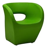 Rembourrage souple Premier Housewares 2403500 Aldo Fauteuil Effet Cuir Vert
