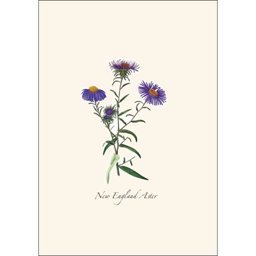 Image of Earth Sky + Water - Meadow Wildflower Assortment Notecard Set - 8 Blank Cards with Envelopes (2 each of 4 styles)